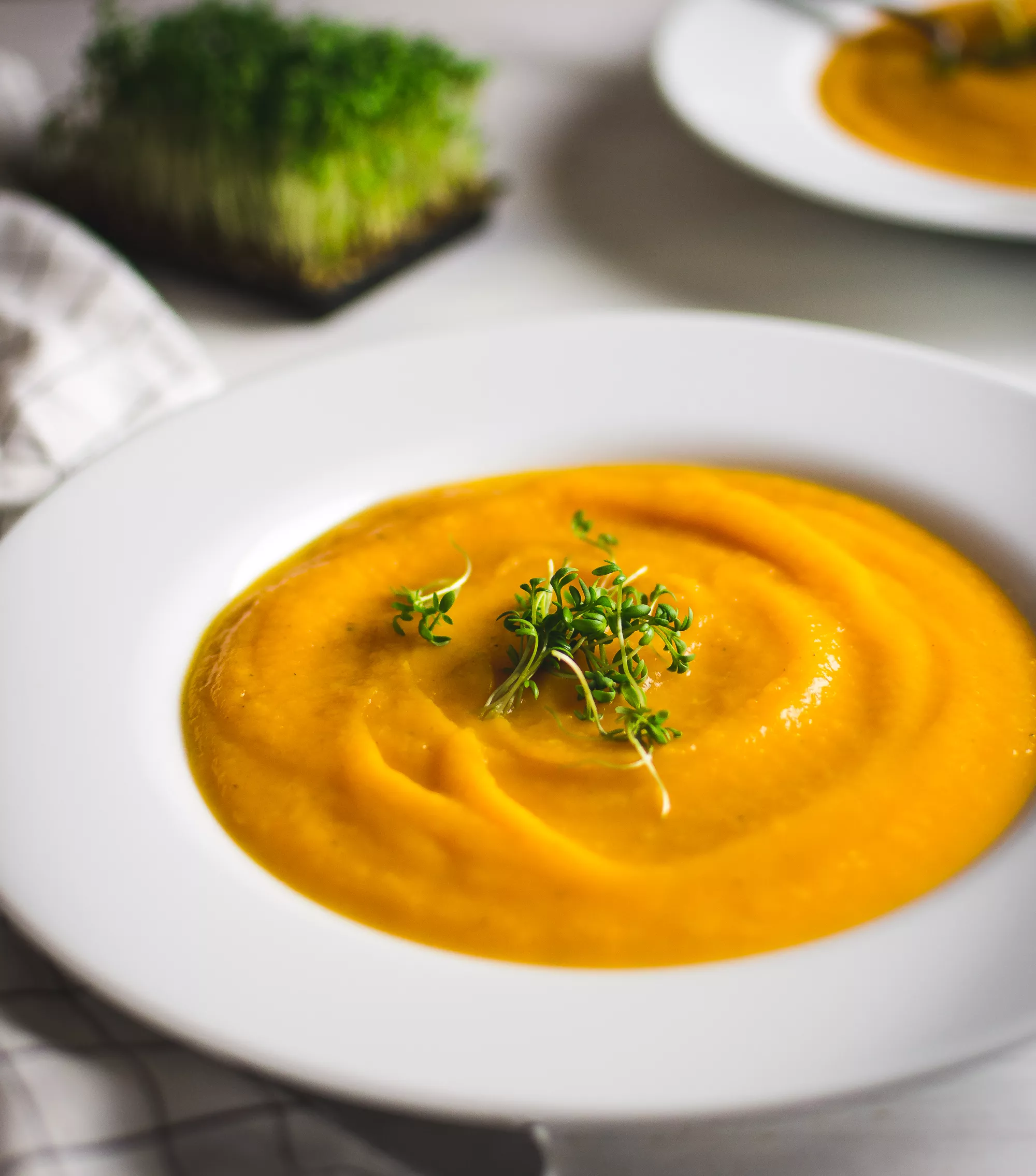 creamy carrot and horseradish soup